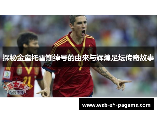 探秘金童托雷斯绰号的由来与辉煌足坛传奇故事