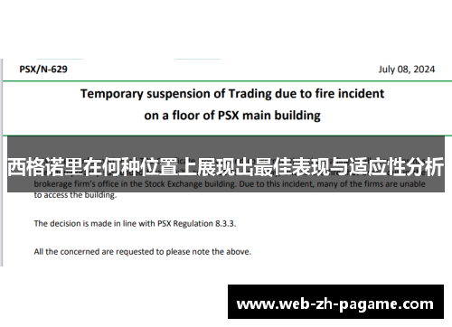 西格诺里在何种位置上展现出最佳表现与适应性分析 西格诺里在何种位置上展现出最佳表现与适应性分析