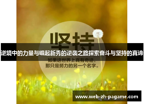 逆境中的力量与崛起新秀的逆袭之路探索奋斗与坚持的真谛