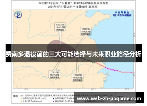 费南多退役前的三大可能选择与未来职业路径分析