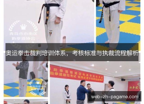 奥运拳击裁判培训体系，考核标准与执裁流程解析